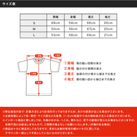 ルーカ/RVCA ドリームスケープ Tシャツ 半袖 レギュラーフィット ヴィンテージ加工 DREAMSCAPE AVYZT01288 SS